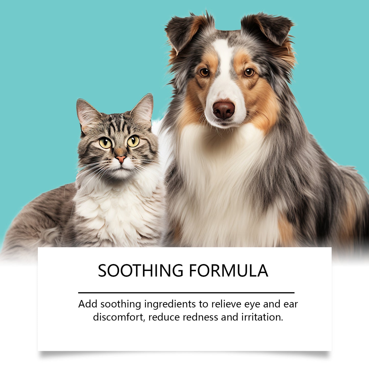 Eel Joy Pet Oral wipes