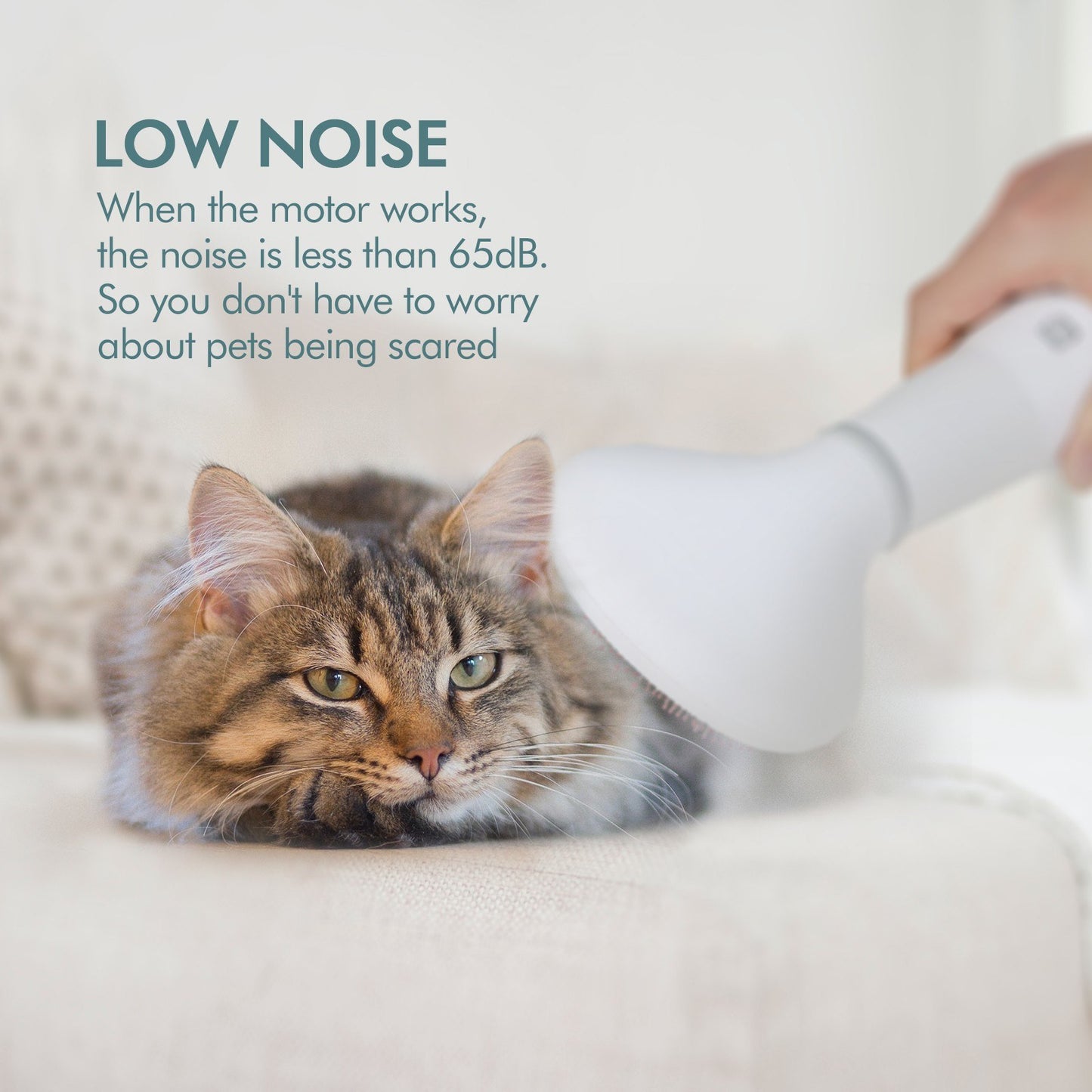 Dadypet Pet Hair Dryer Grooming Brush is a 2-in-1 dog and cat grooming tool