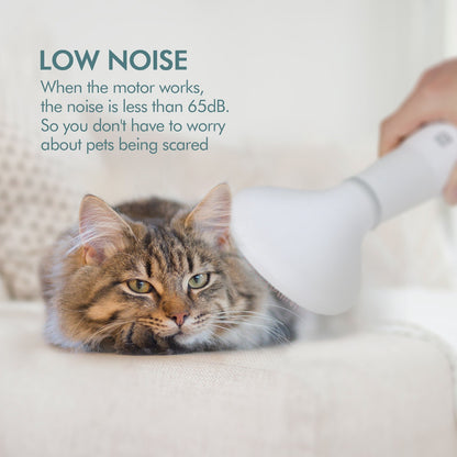 Dadypet Pet Hair Dryer Grooming Brush is a 2-in-1 dog and cat grooming tool